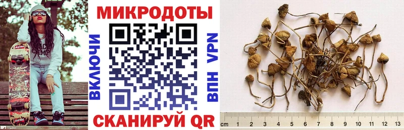 Галлюциногенные грибы Psilocybine cubensis  хочу наркоту  Карачев 